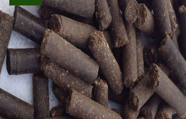 🔥 Pini-kay briquettes – Combustible compacté premium pour un chauffage performant